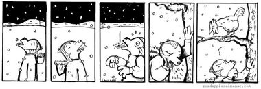 Catching Snowflakes