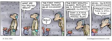 First Snow