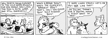 Good Boy