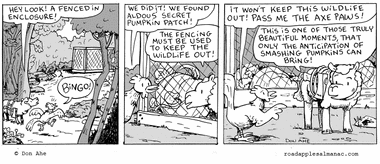 Fenced Enclosure