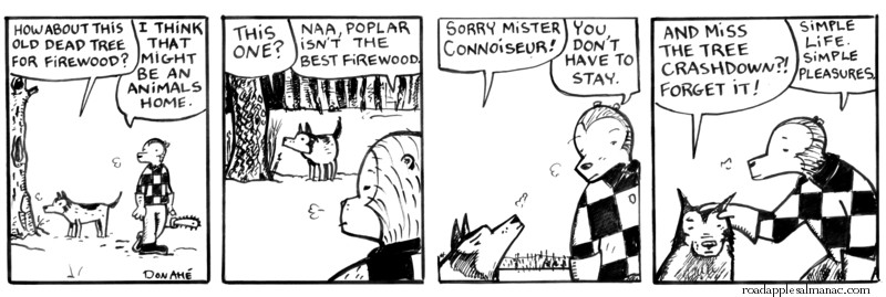 Firewood