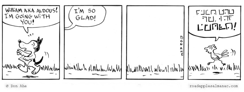 Apples 10