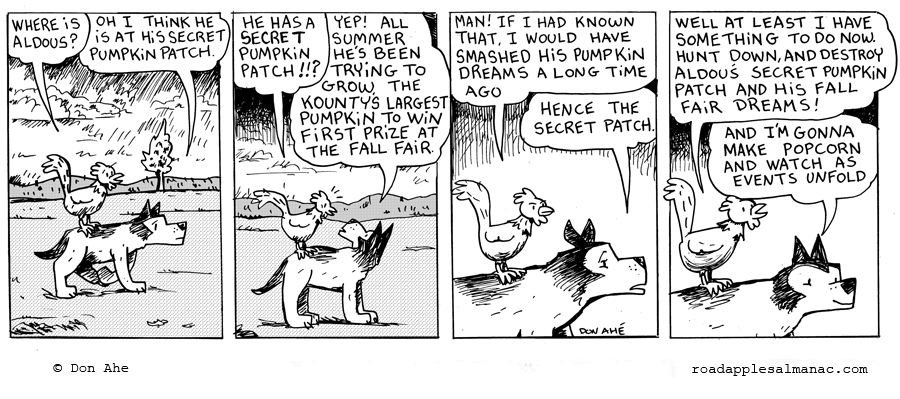 Secret Pumpkin Patch