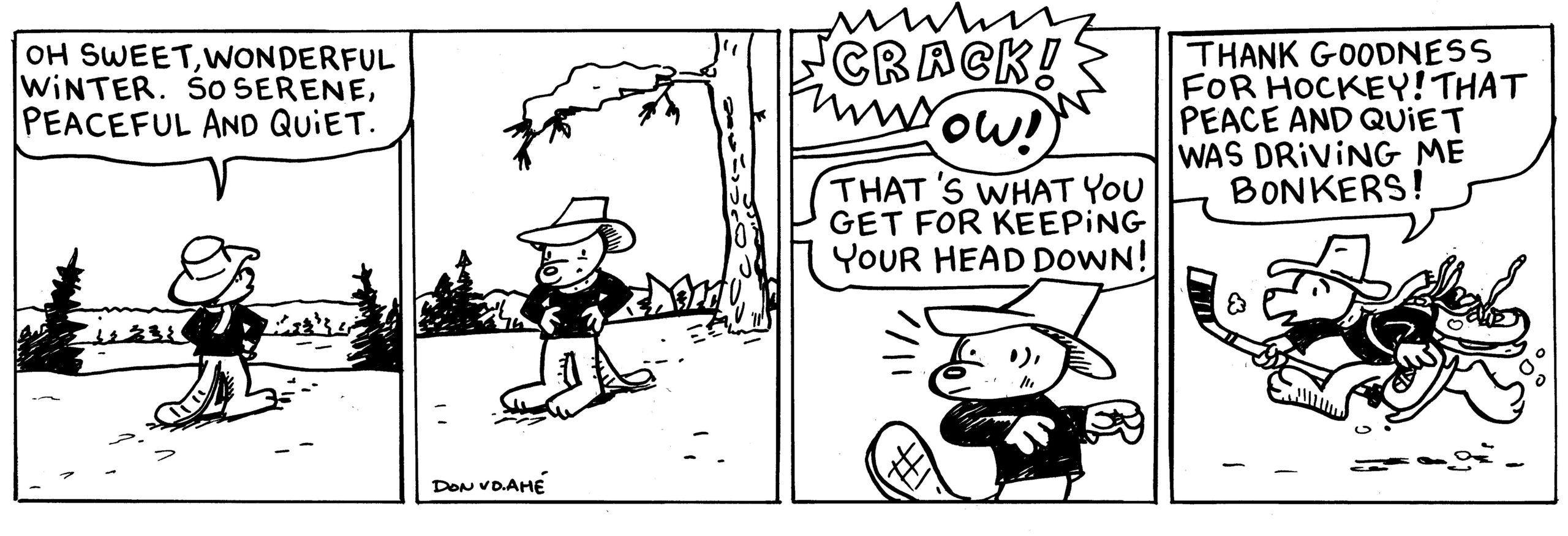 Castor, old strips